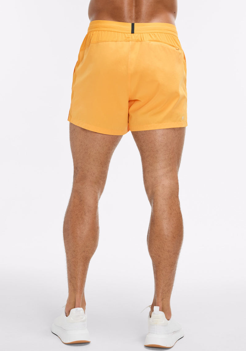 5" Lined Summit Short