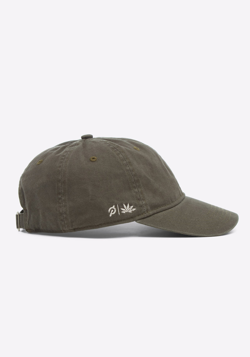 Washed Dad Hat