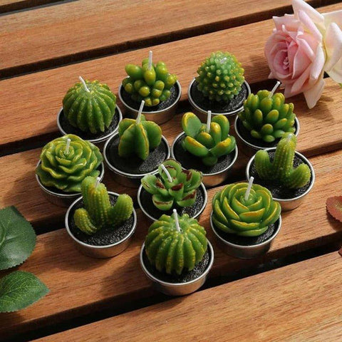 3D Cactus Tealight Candle Set - Eco-Friendly Gift, 6 Designs